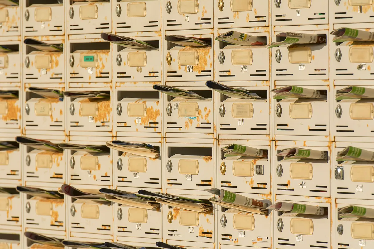 newsletter platform features