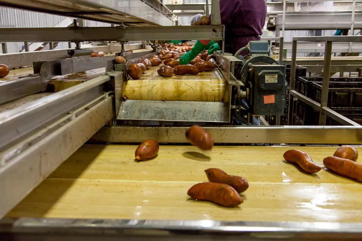 food production line disruption