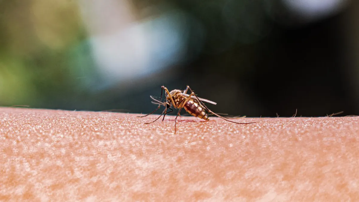 Expanding Mosquito Ranges: The Urgent Need for Enhanced Monitoring