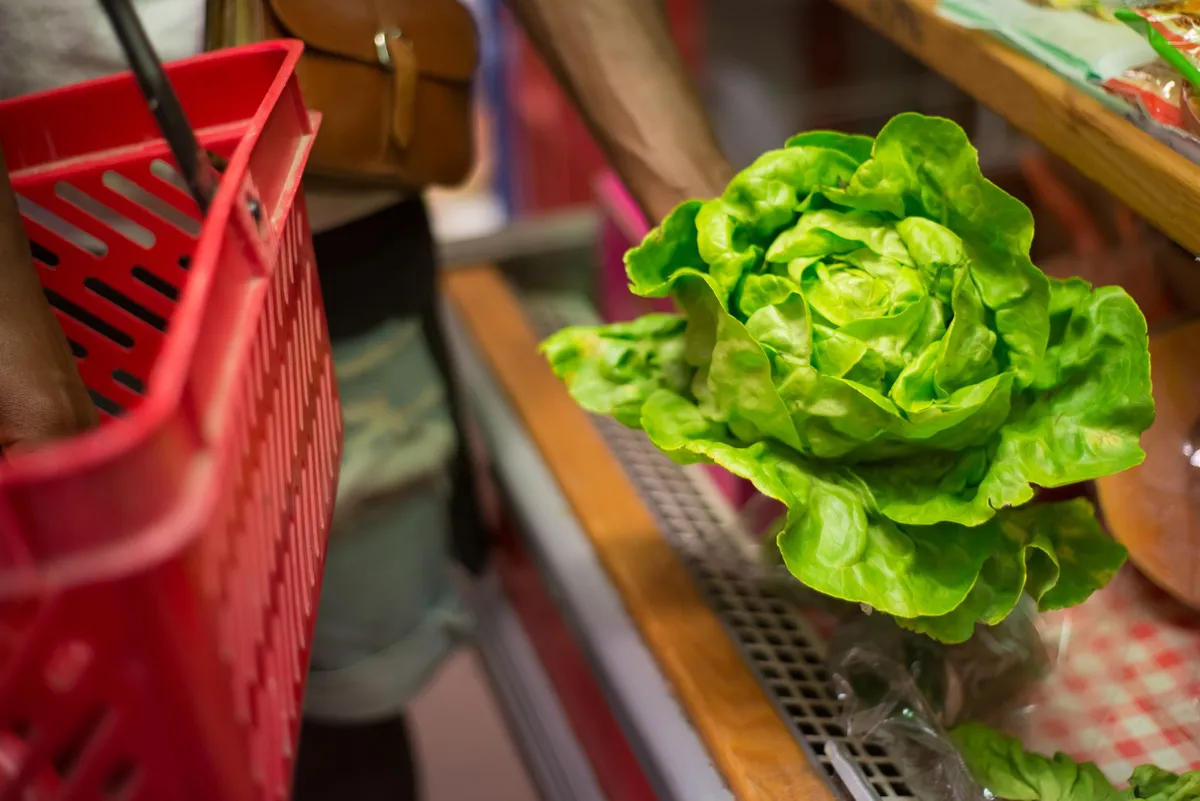 lettuce in grocery store