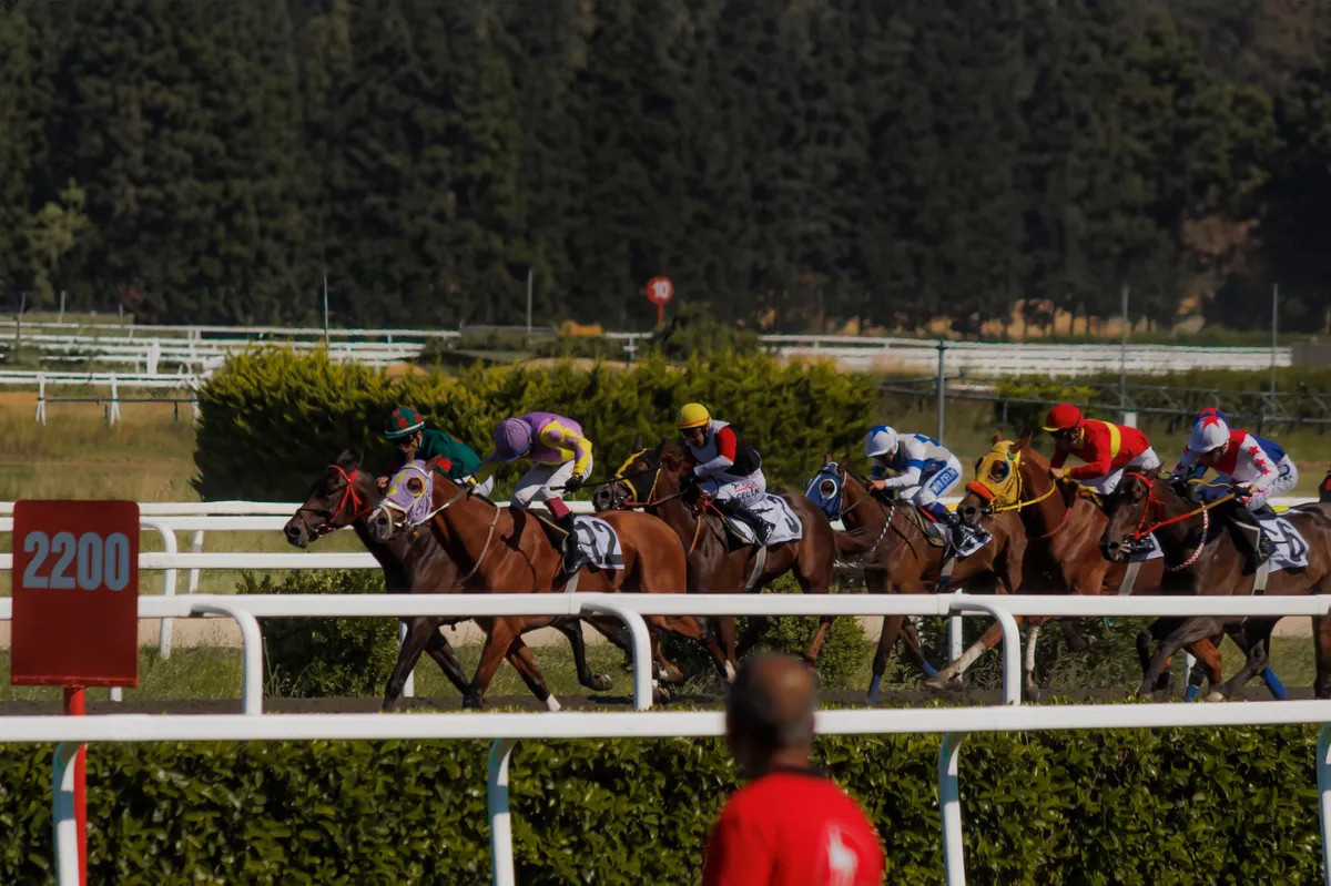 sports betting advertising