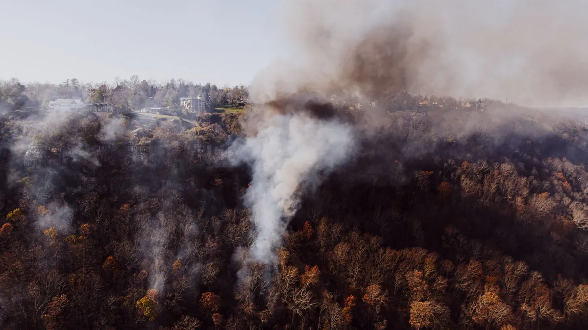 wildfire smoke over forest