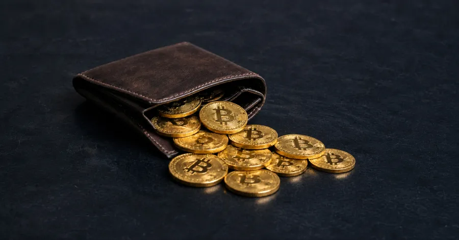 Guarding the Digital Vault: Protecting Against 'Ill Bloom' Vulnerability Exploits Guarding the Digital Vault: Protecting Against 'Ill Bloom' Vulnerability Exploits