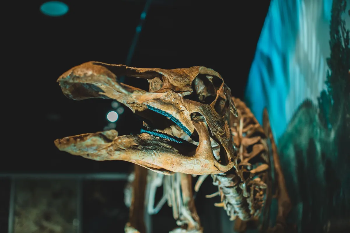 dinosaur fossil auction