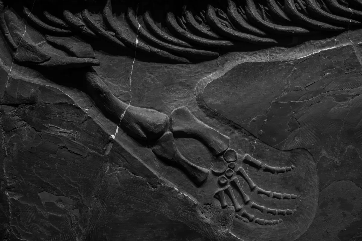paleontology research lab