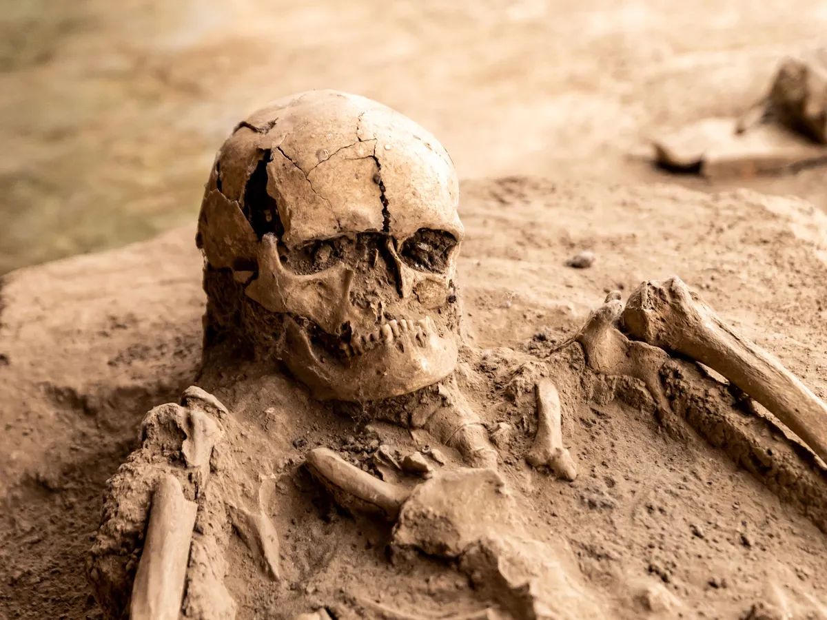 fossil excavation site