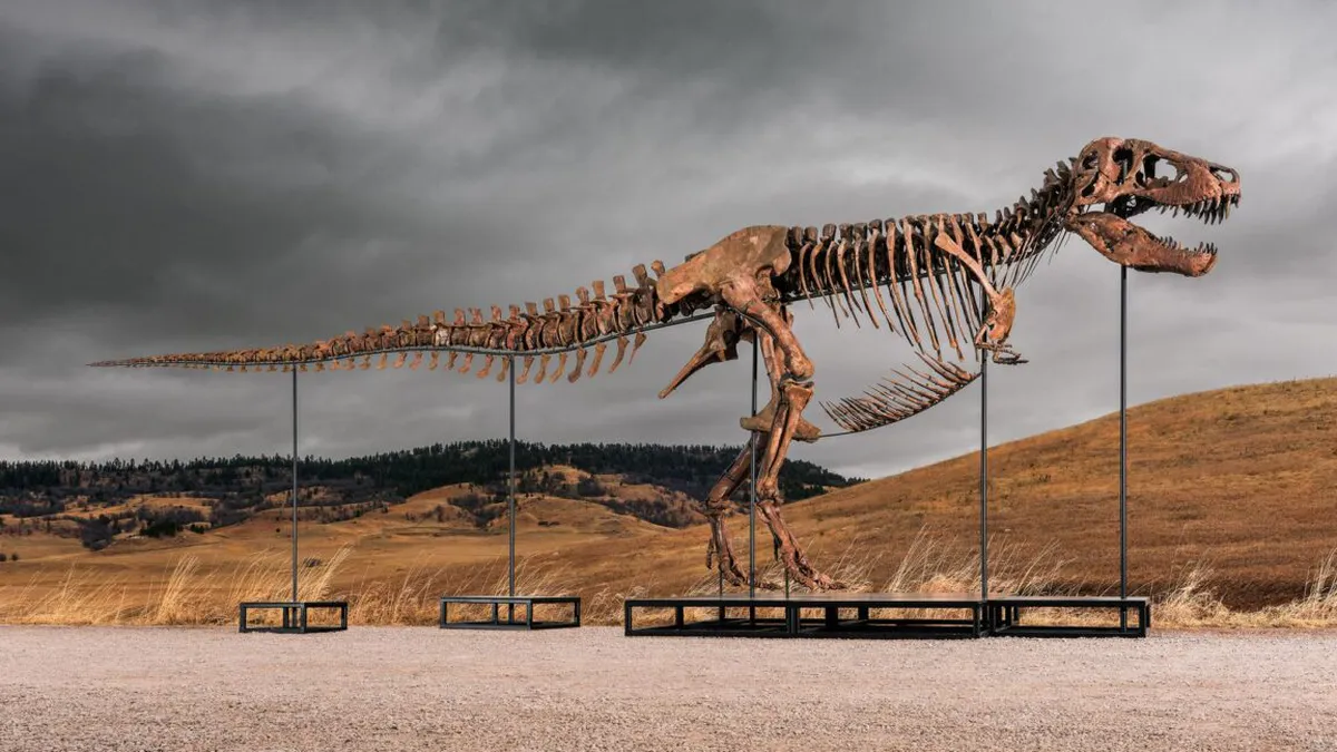The Auctioning of Dinosaurs: How Wealth is Changing Paleontology
