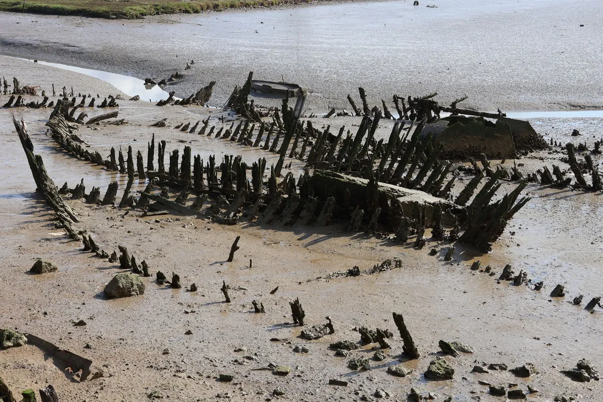 sonar image of shipwreck