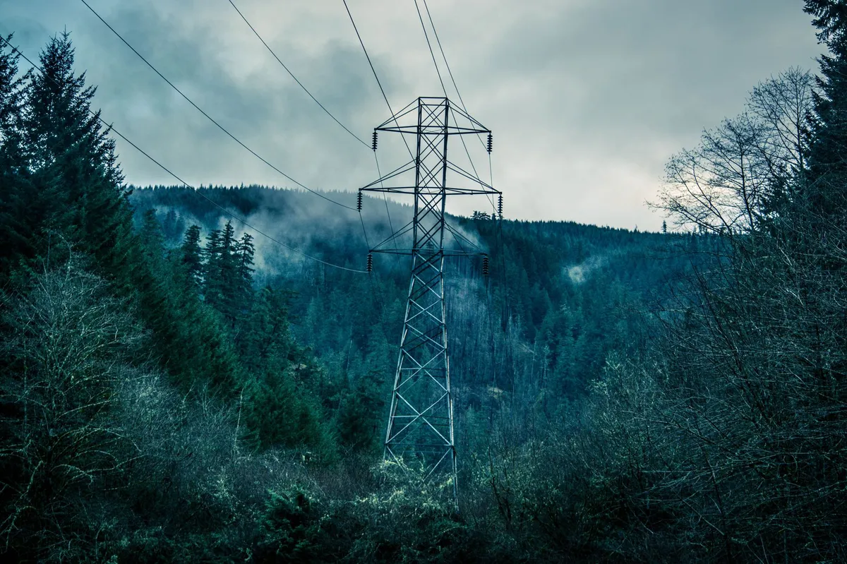 power grid disruption