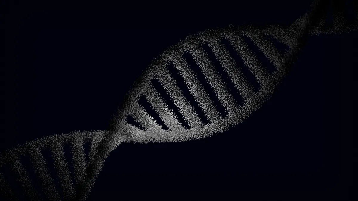 DNA sequence visualization