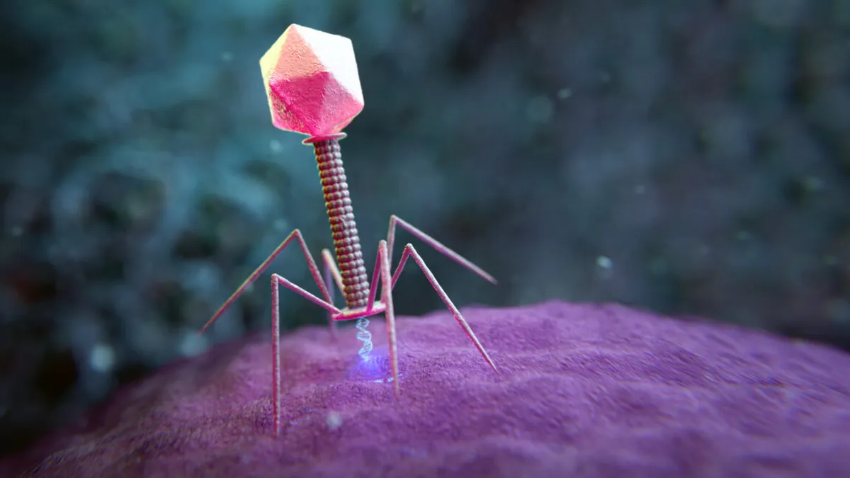 AI-Driven Genome Models: A New Frontier in Virus Design