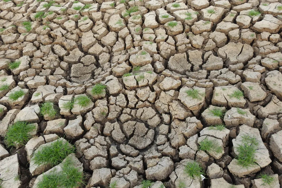 El Niño climate impact