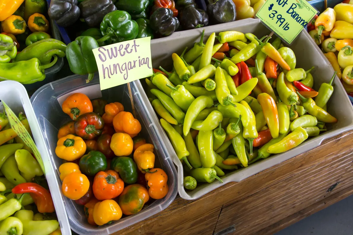 farmer's market produce