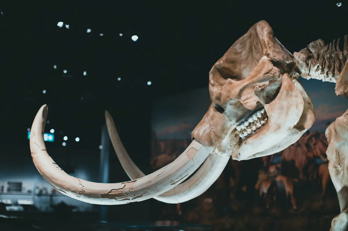 global extinction event