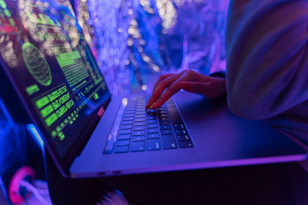 software security vulnerability