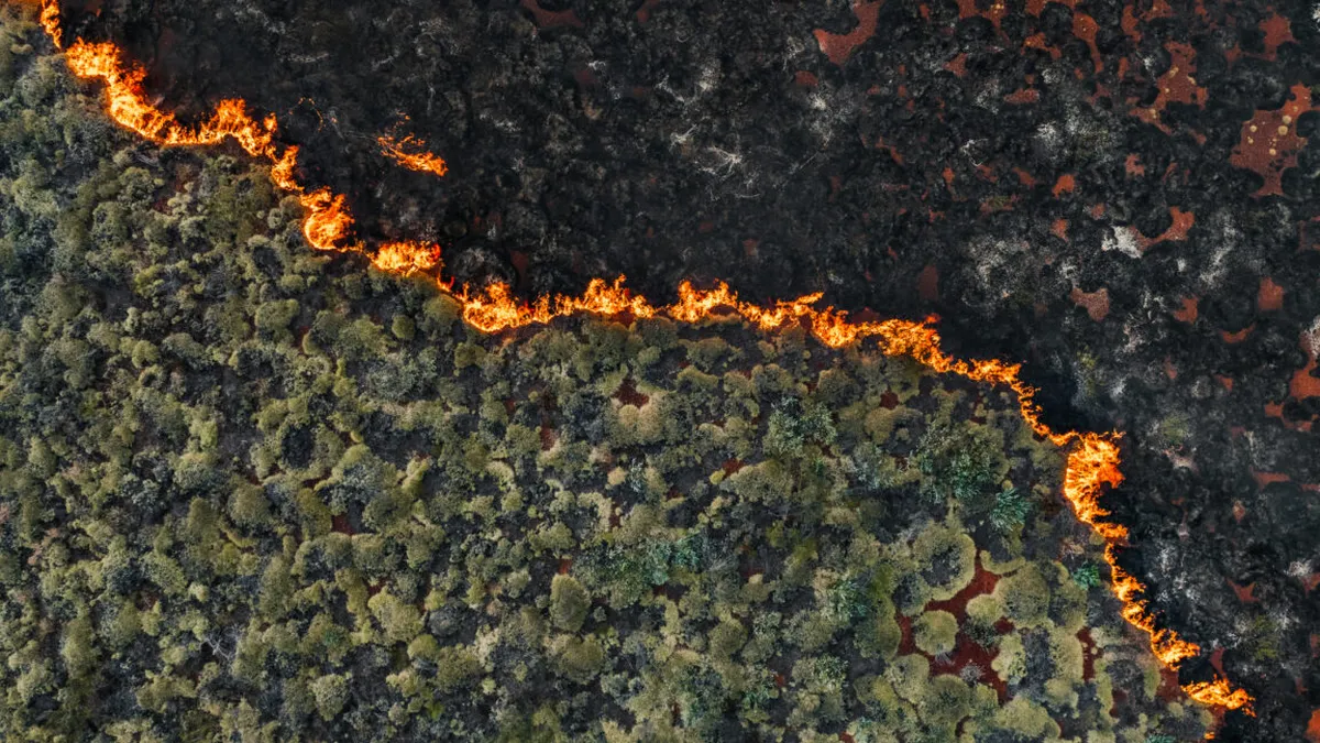 Senators Push for Regulation of Wildfire Prediction Markets Amid Concerns