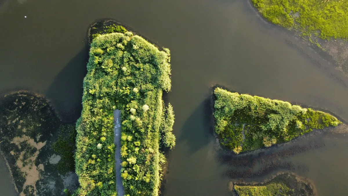 aerial view of marshland