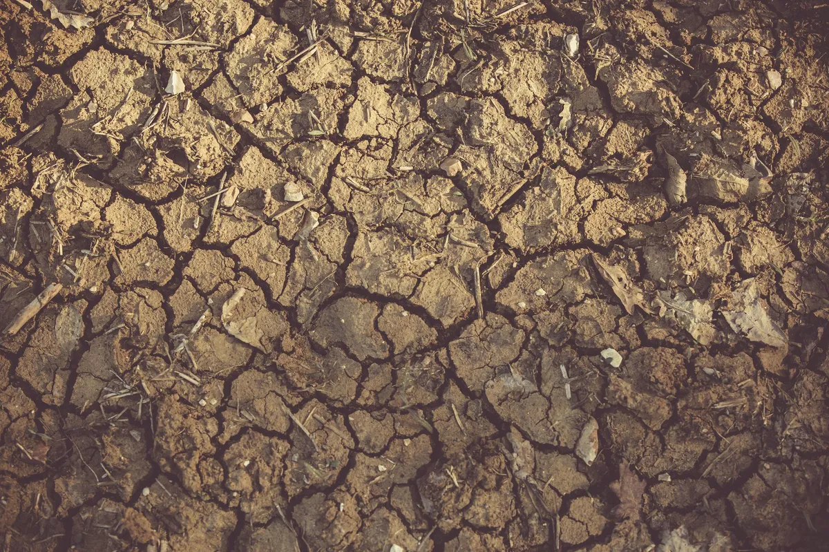 drought-stricken Texas landscape