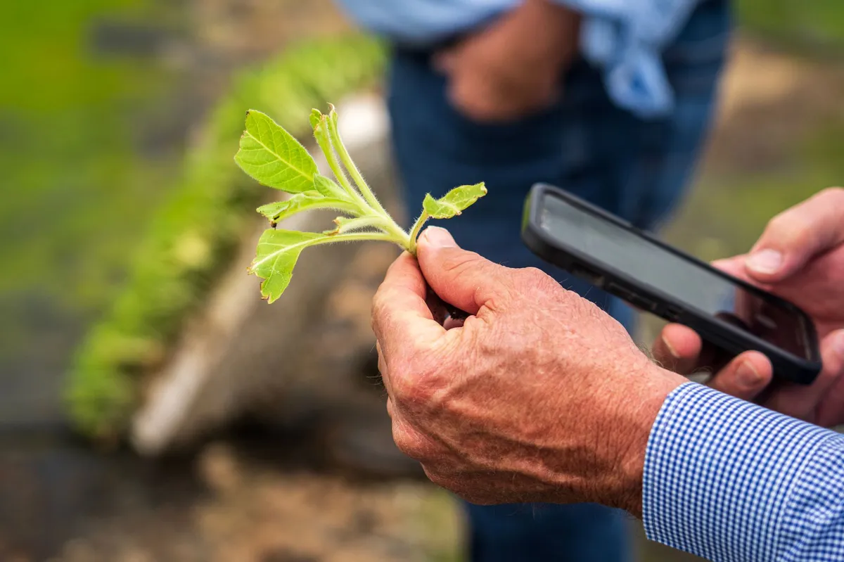 farmer using technology in field