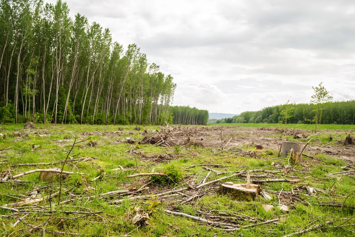 environmental lawsuit court