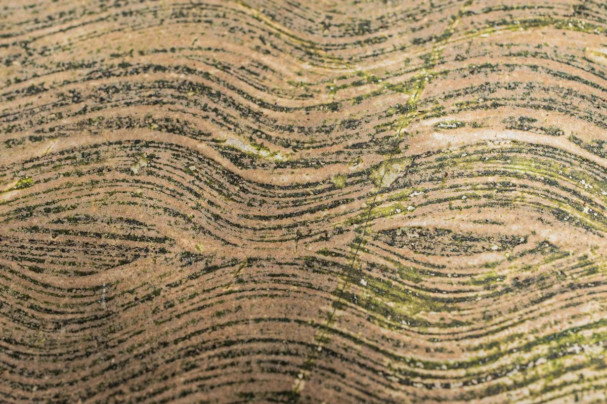 sediment core analysis