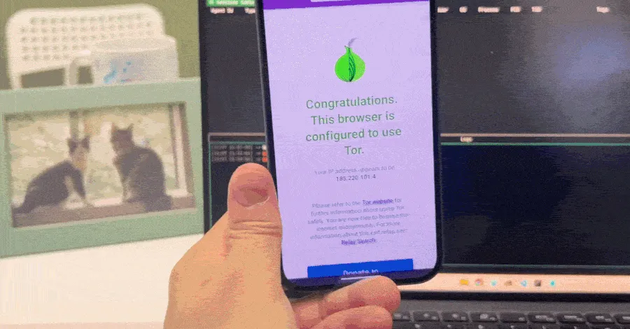 Understanding the Risks: Malicious Webpage Attacks on Tor Browser