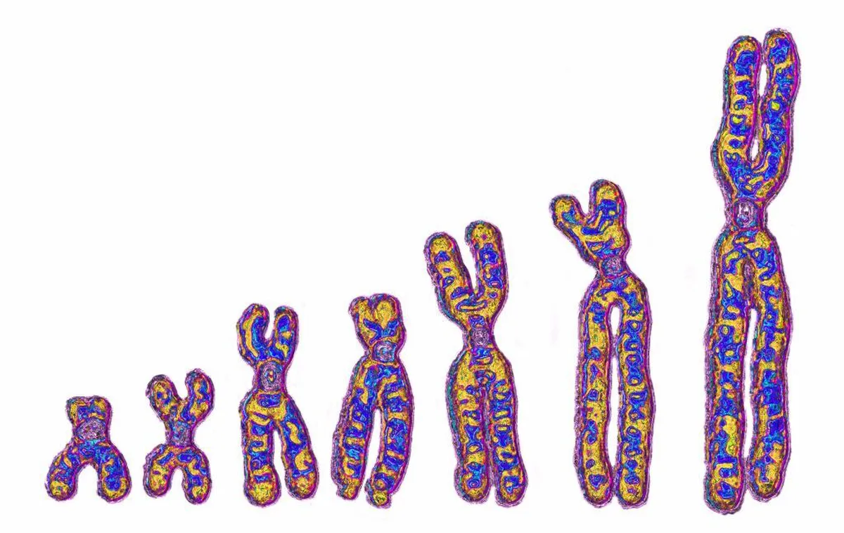Unraveling Our Ancestry: The Mystery of Africa's Ghost Lineage
