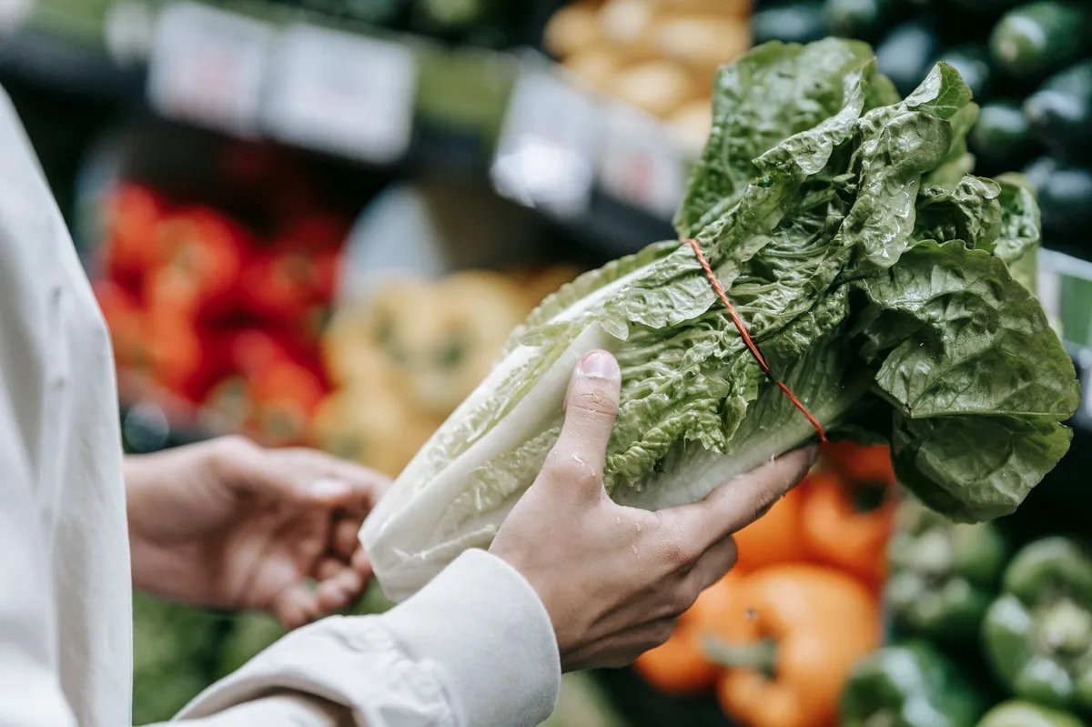 lettuce recall graphic