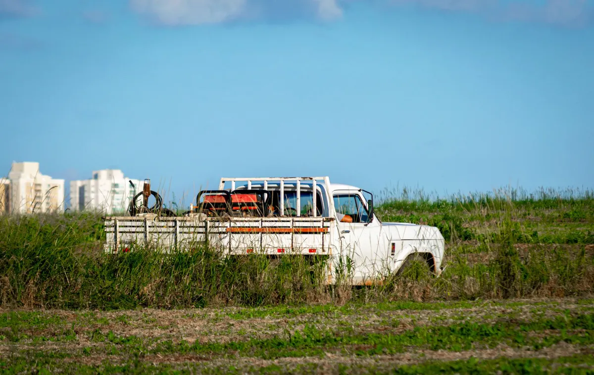 pickup truck in a field