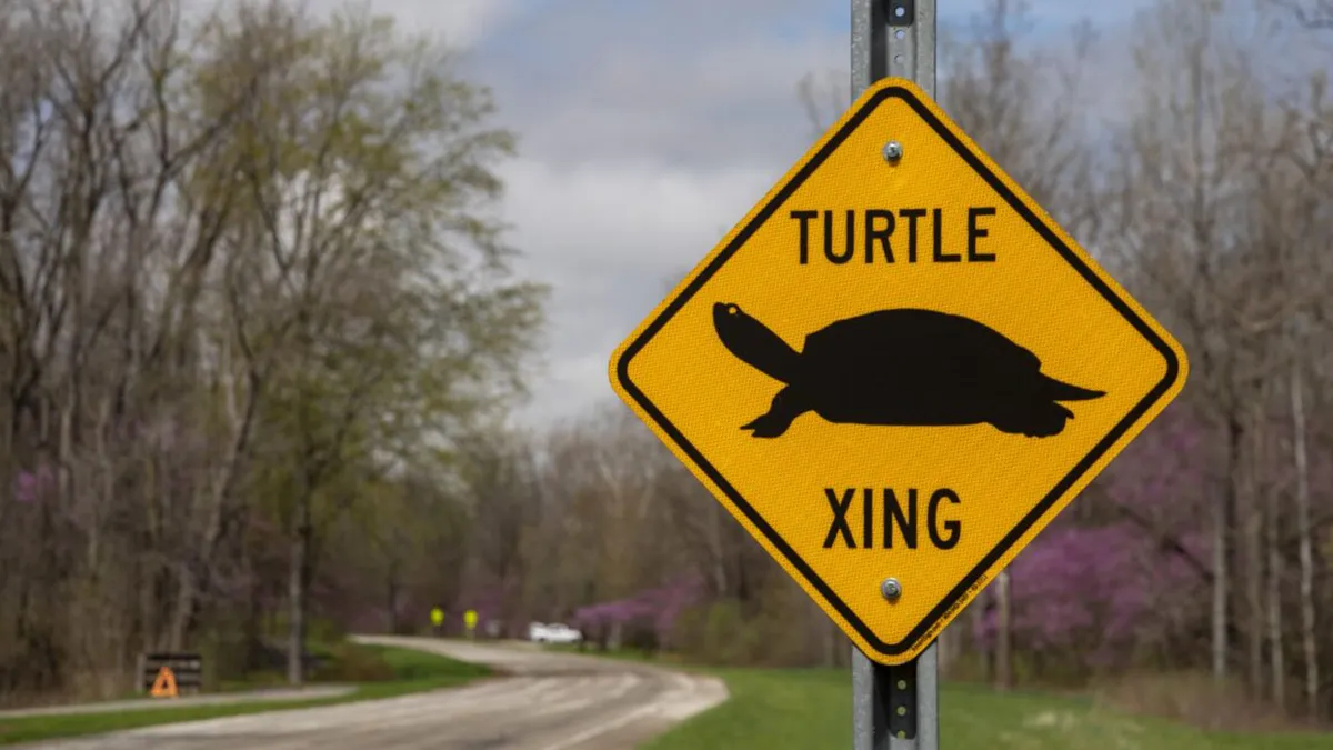 FCC Abandons Gigabit Speed Goal: Implications for America's Broadband Future