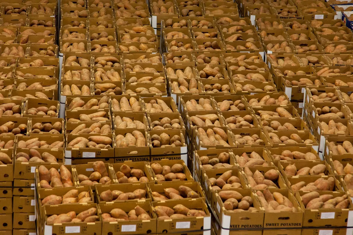 produce distribution warehouse