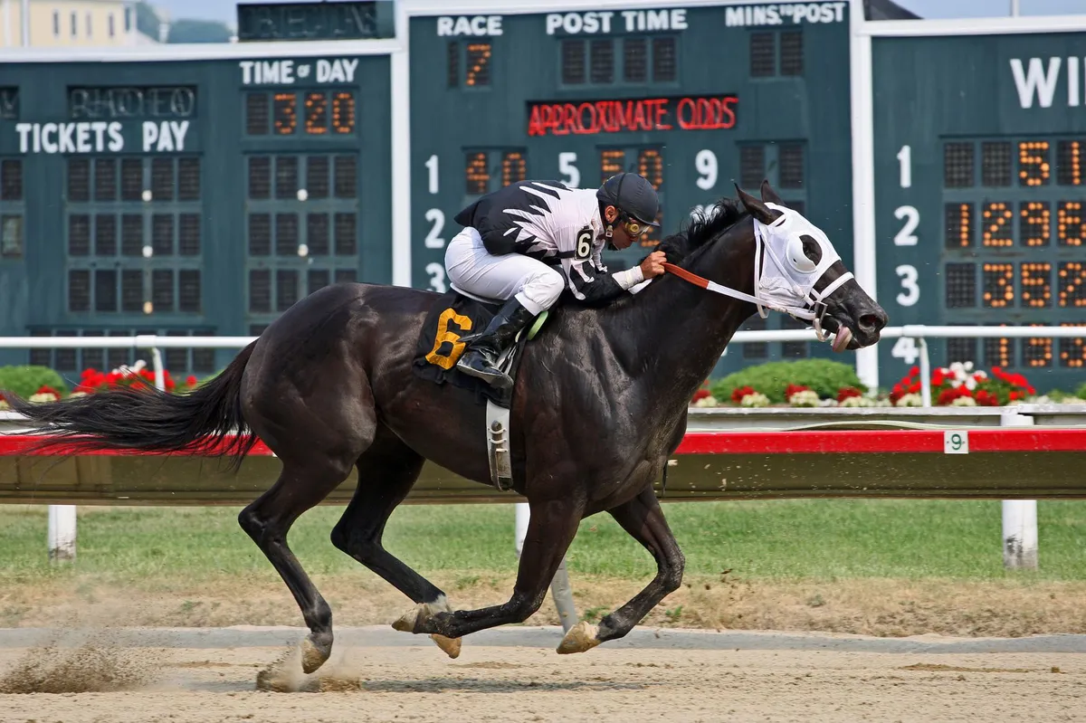 sports betting legal analysis