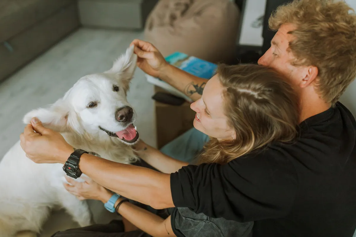 family pet care