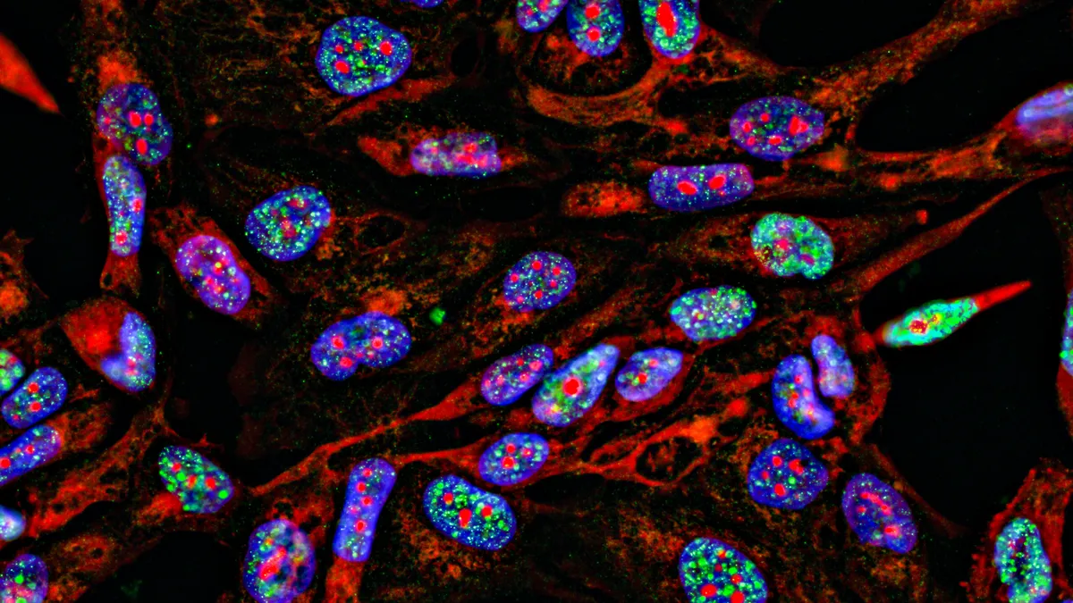 Misleading Antibody Marketing: The Hidden Crisis in Biomedical Research