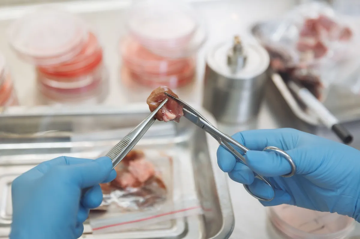 laboratory with living tissue