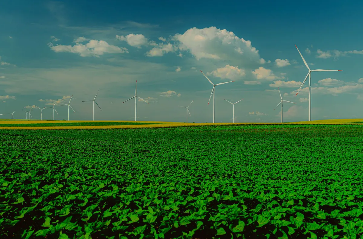 renewable energy future