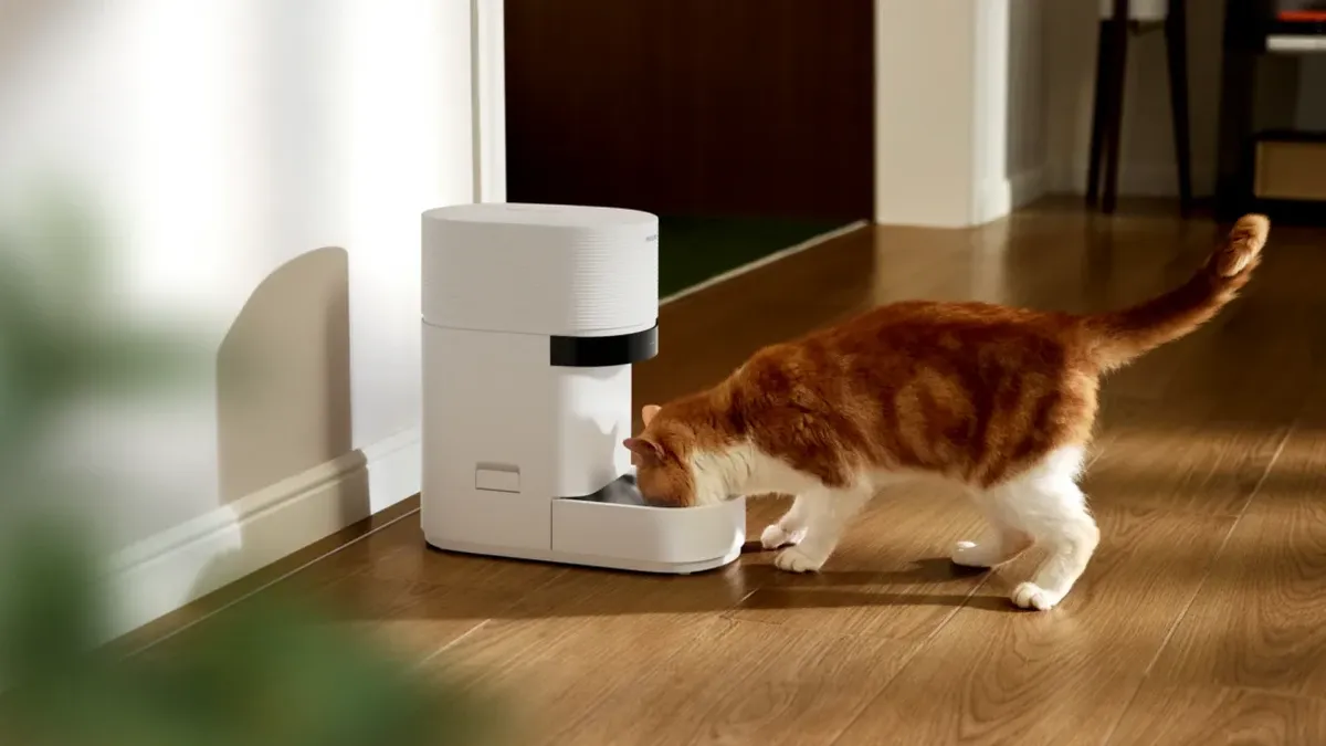 Smart Pet Feeder Outage Highlights Risks of Reliance on Pet Tech