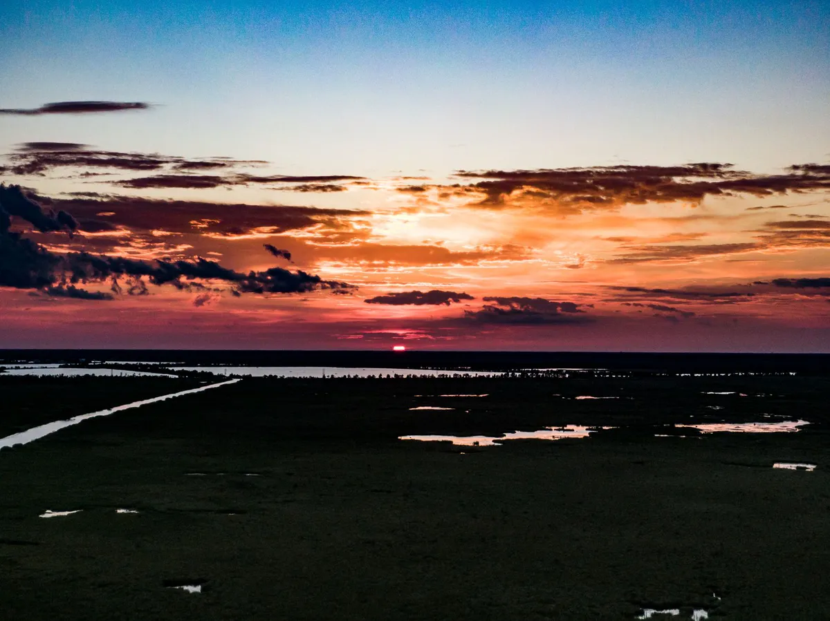 Louisiana Gulf Coast landscape