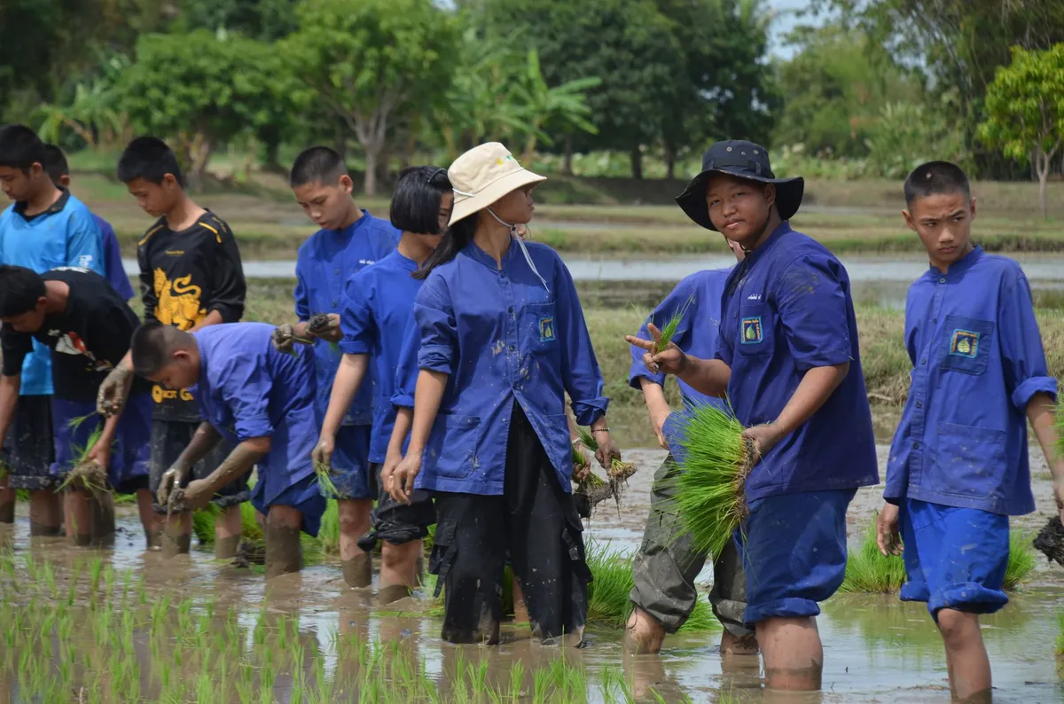 community education agriculture