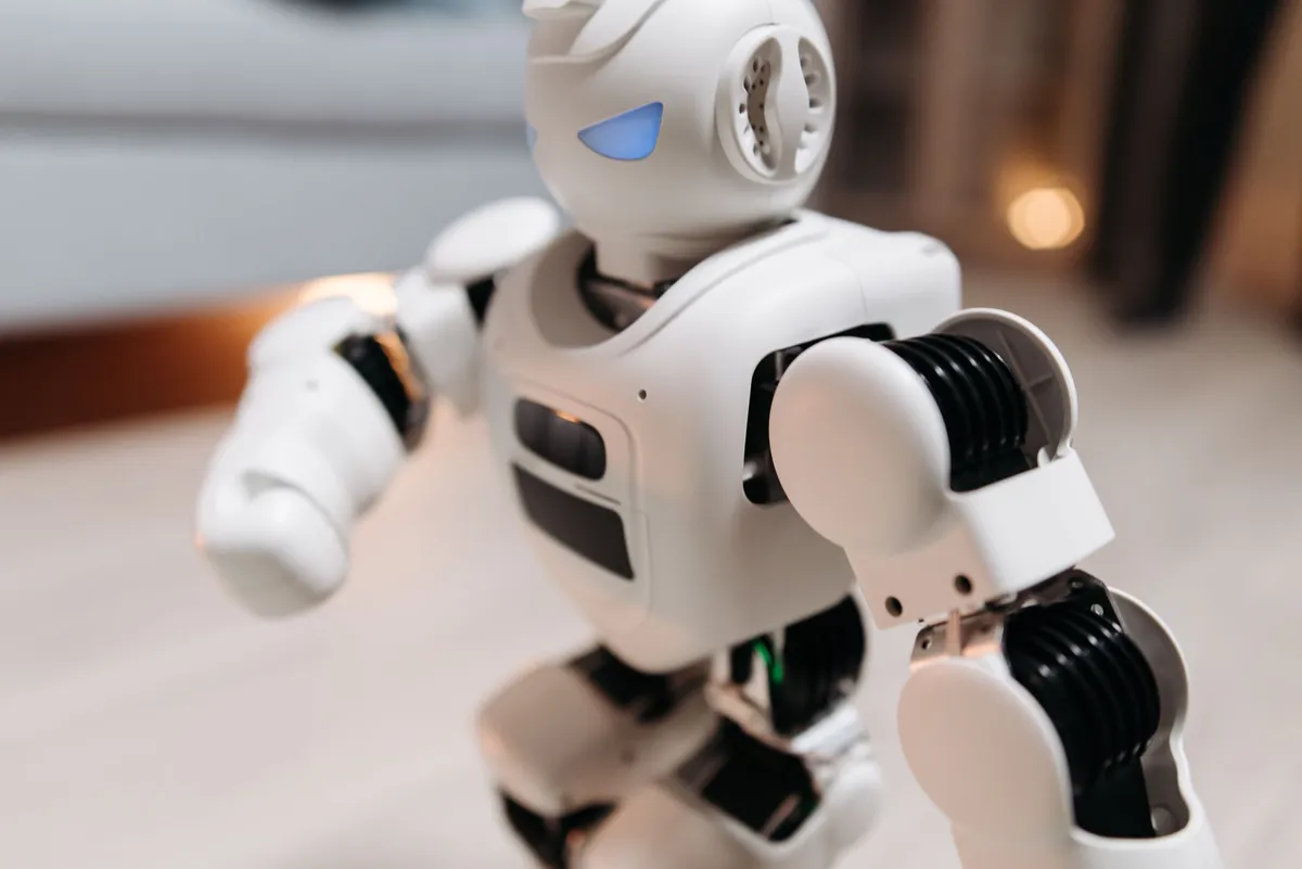 humanoid robot interaction