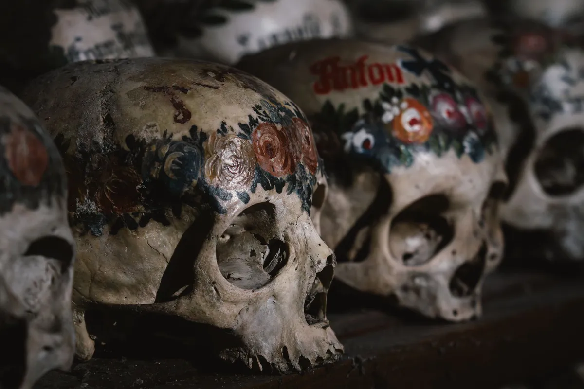 mummified remains closeup