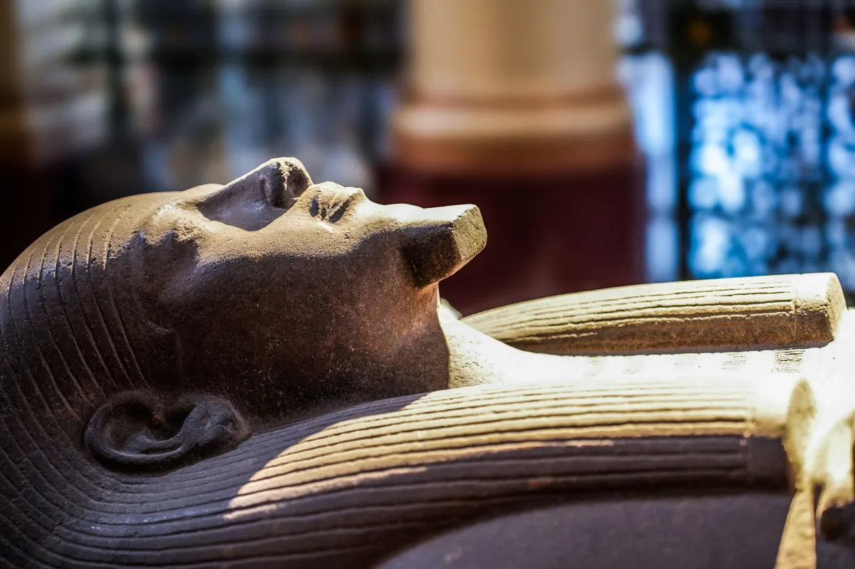 ancient mummy excavation