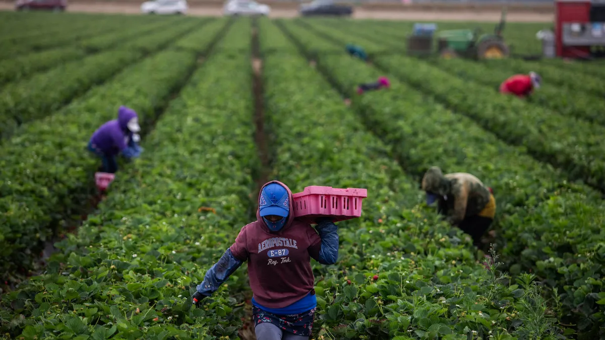 The Rising Heat: How Climate Change Intensifies Pesticide Risks for Farmworkers
