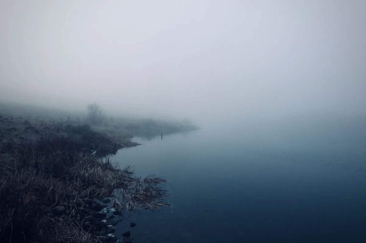 eerie winter landscape